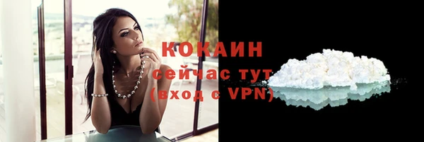 дурь Переславль-Залесский