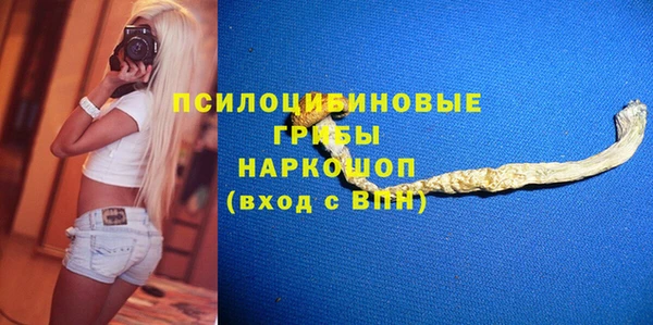 твердый Пестово