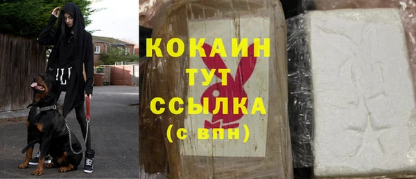дурь Переславль-Залесский